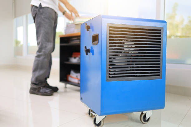 Mold Remediation for Rental Properties in Wellington, UT